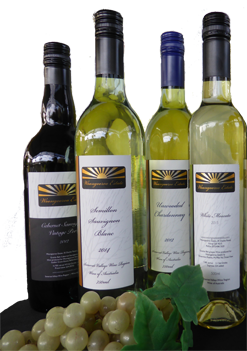 Editing Wine bottles 2