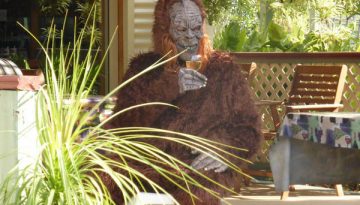 Yowie_opt