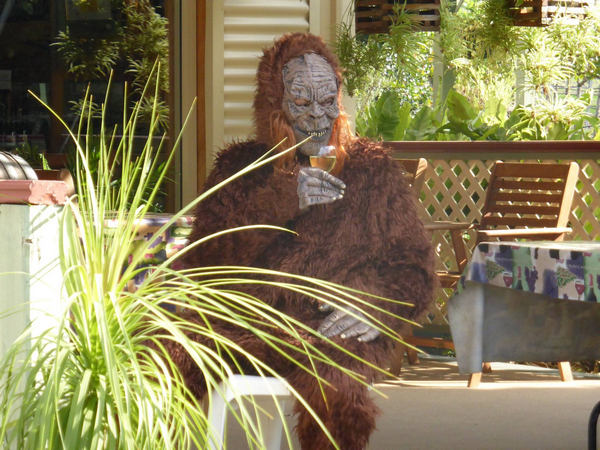 Yowie_opt